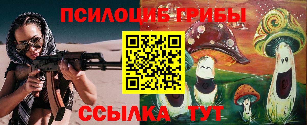 Псилоцибиновые грибы мицелий  Галлюциногенные грибы GOLDEN TEACHER  Новодвинск  Вход с VPN 
